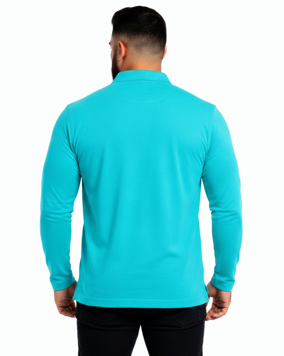 Men's Solid Aqua Matty Full sleeve Polo Regular T-Shirt
